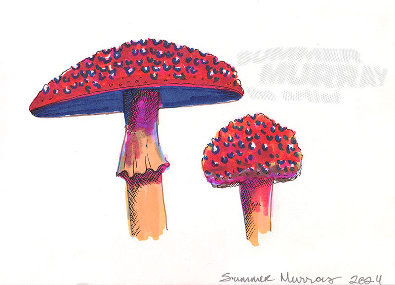 Amanita — alcohol markers & Micron pens