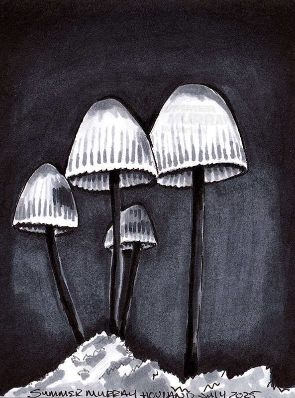 Black & white morel (set of 4)