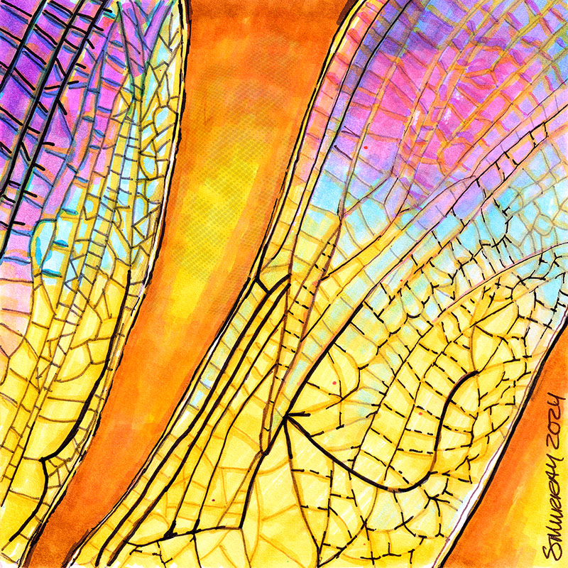 Dragonfly wing
