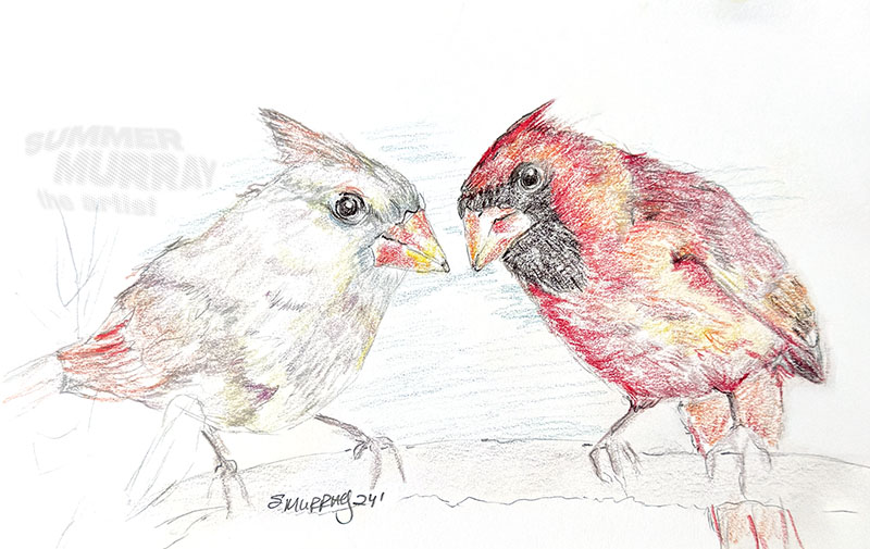 Pair of cardinals